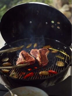 Barbecue Charbon Performer GBS Ø57cm Noir - Weber -Autour Du Feu Boutique performer gbs yi 57 cm black 2