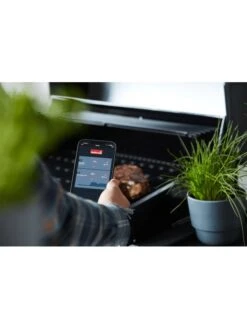 Thermomètre Digital Avec Application - Barbecook -Autour Du Feu Boutique thermometre digital avec application barbecook 4