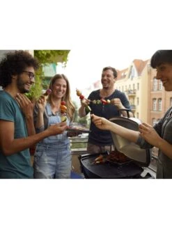 Barbecue électrique Q 2400 Gris - Weber -Autour Du Feu Boutique weber q 2400 dark grey 8